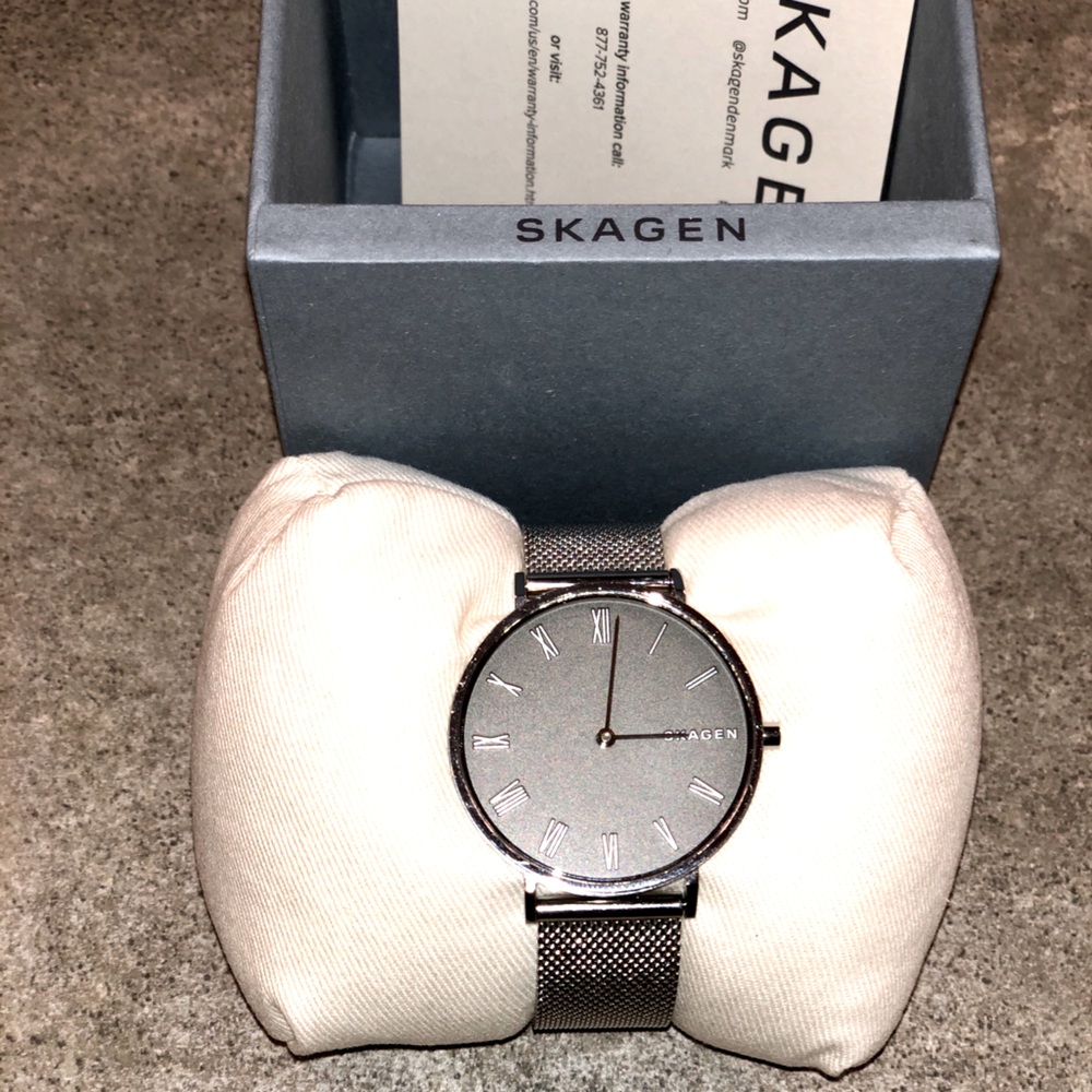 Ladies Stainless Steel Skagen Watch